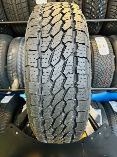 Bridgestone Dueler All Terrain AT002 255/65R17 110T