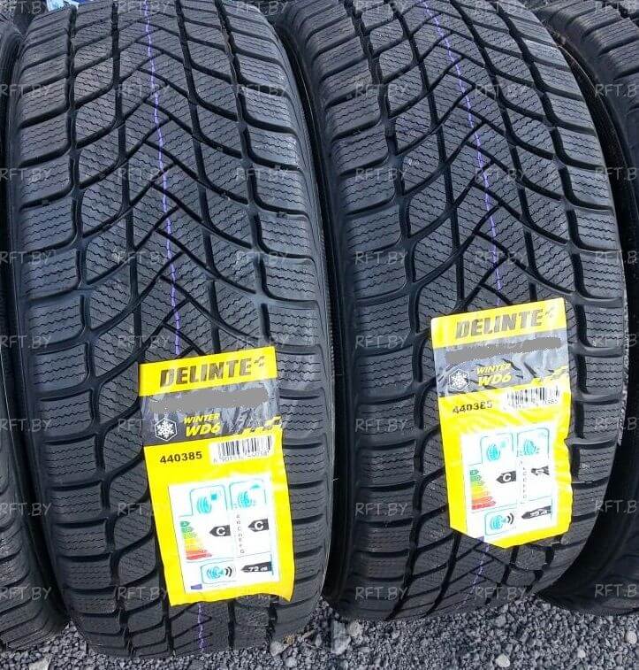 Delinte Winter WD6 185/55R15 82H