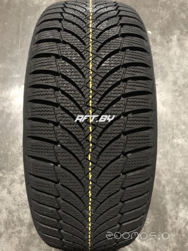 Roadstone Winguard Snow'G WH2 215/55R16 93H