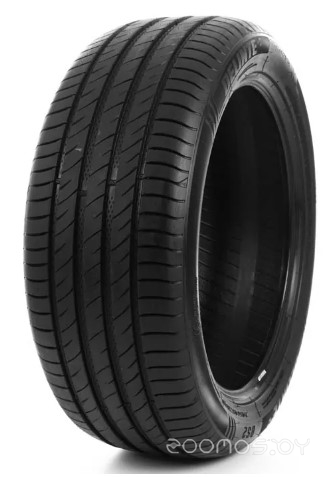 Delinte DS2 225/45R19 92W RunFlat