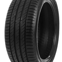 Delinte DS2 255/40R18 99W