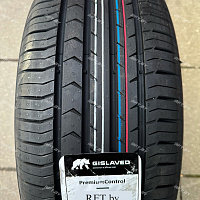 Gislaved PremiumControl 205/55R16 91H
