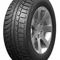 DoubleStar DW07 205/55R16 91T