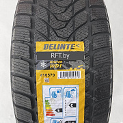 Delinte Winter WD1 215/45 R17 91H
