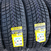 Delinte Winter WD6 205/50R17 93H