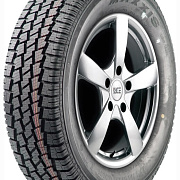 Maxxis MA-W2 Wintermaxx 205/75R16C 110/108R
