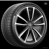 Michelin PILOT SPORT S 5 315/35R21 111Y