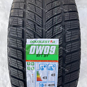 DoubleStar DW09 245/45R18 96T
