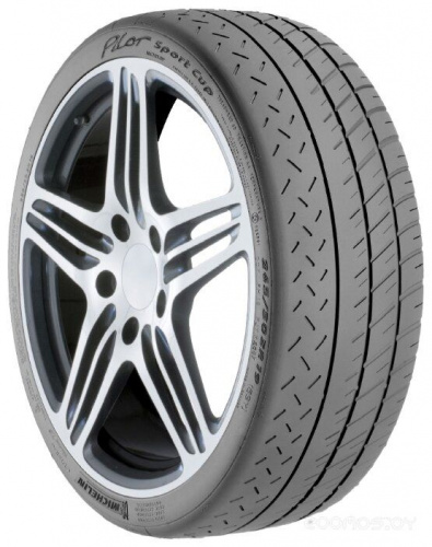 Michelin Pilot Sport Cup 265/30 R19 89Y