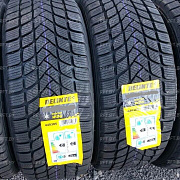 Delinte Winter WD6 225/50R17 98H