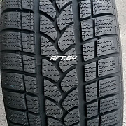 Taurus 601 Winter 205/45 R17 88V