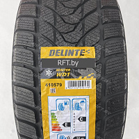 Delinte Winter WD1 185/65R14 86H